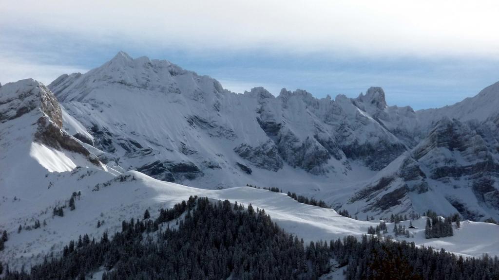 Dans La Panorama *